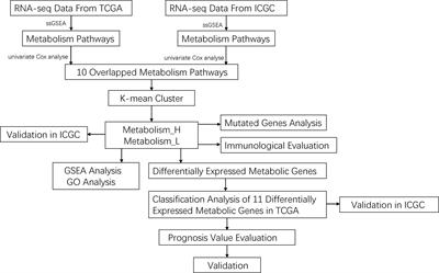 Novel Prognostic Signatures of Hepatocellular Carcinoma Based on Metabolic Pathway Phenotypes